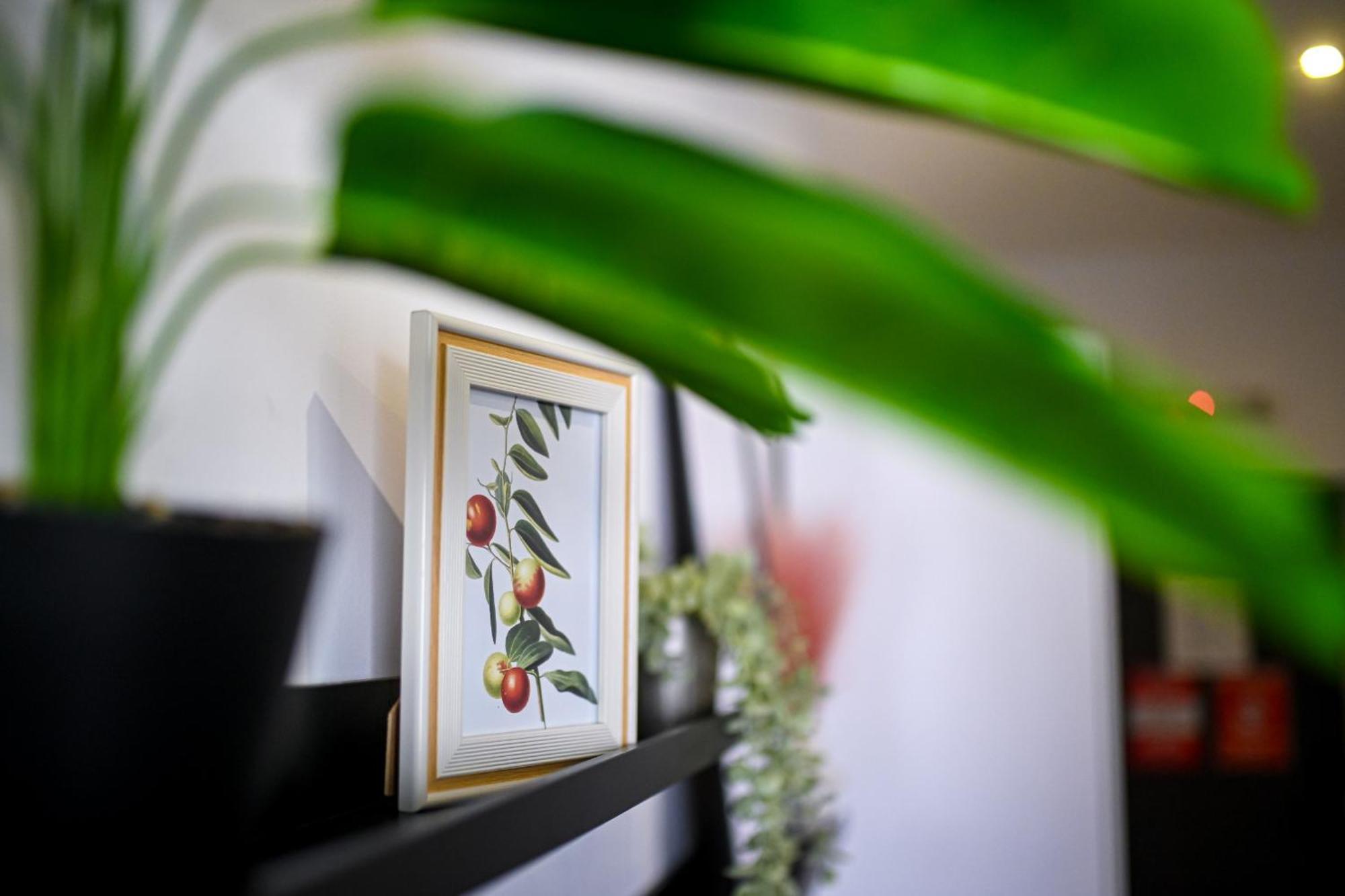 Urban Elegance - Stylish Central Accommodation Bukarest Zimmer foto